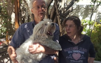 Med Sverige på distans